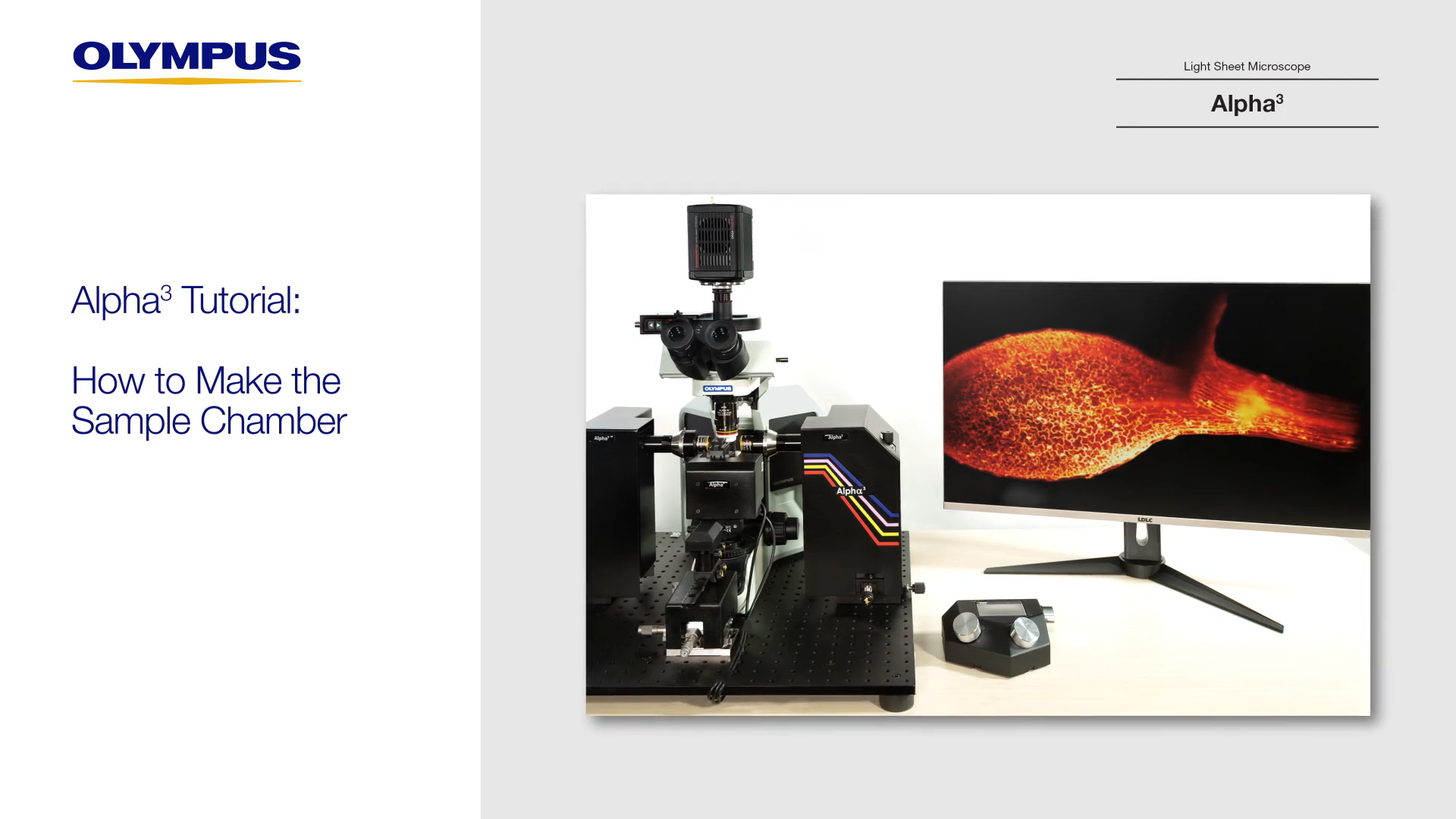 Alpha3 Tutorial: How to Construct the Sample Chamber