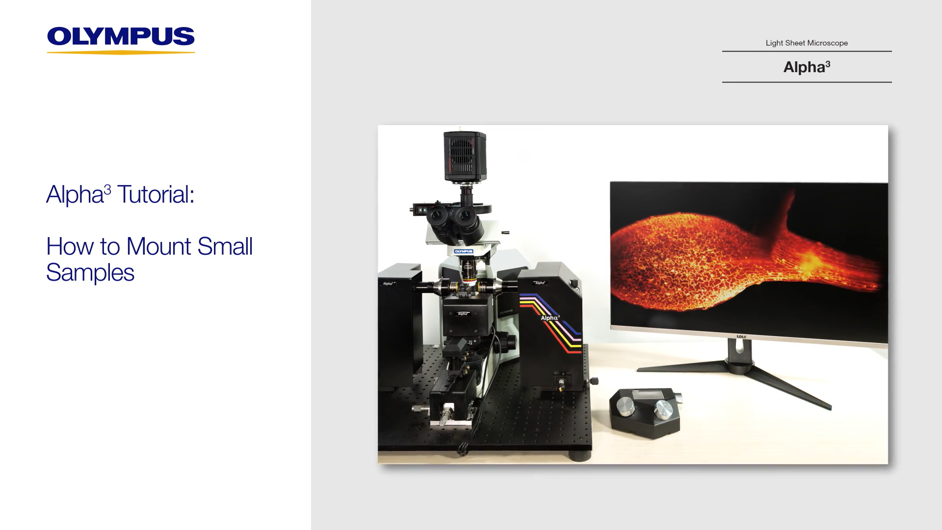 Alpha3 Tutorial: How to Mount Small Samples