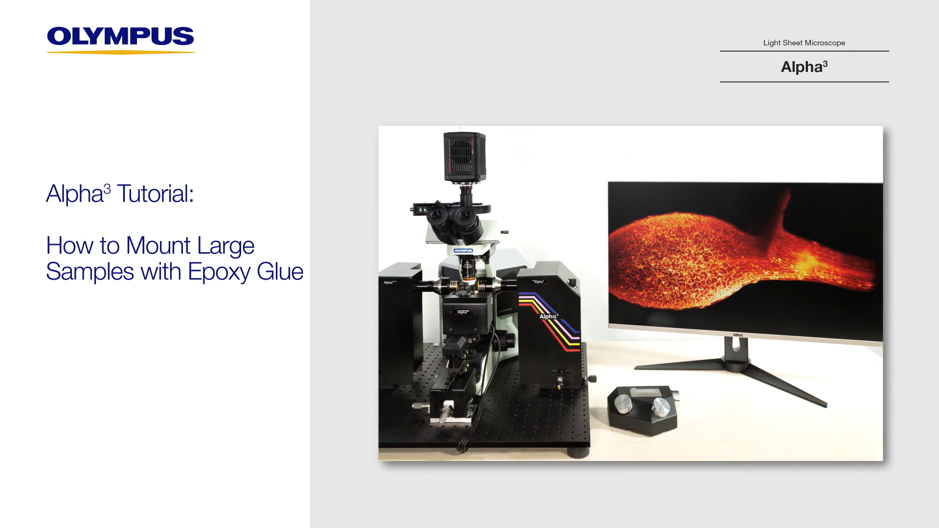 Alpha3 Tutorial: How to Mount Large Samples with Epoxy Glue