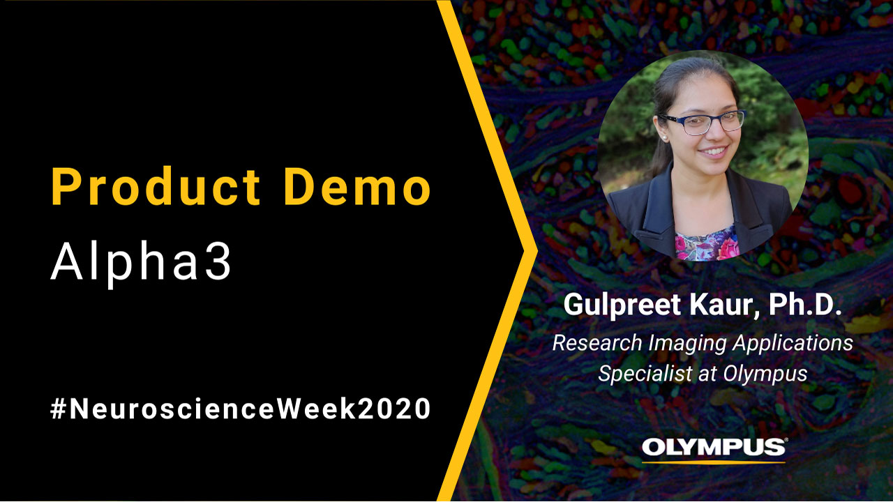 Alpha3 Tutorial: How to Mount Medium to Large Samples