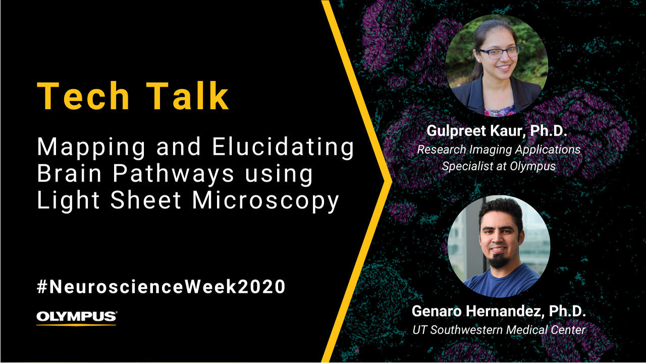 Alpha3 Tech Talk: Mapping and Elucidating Brain Pathways