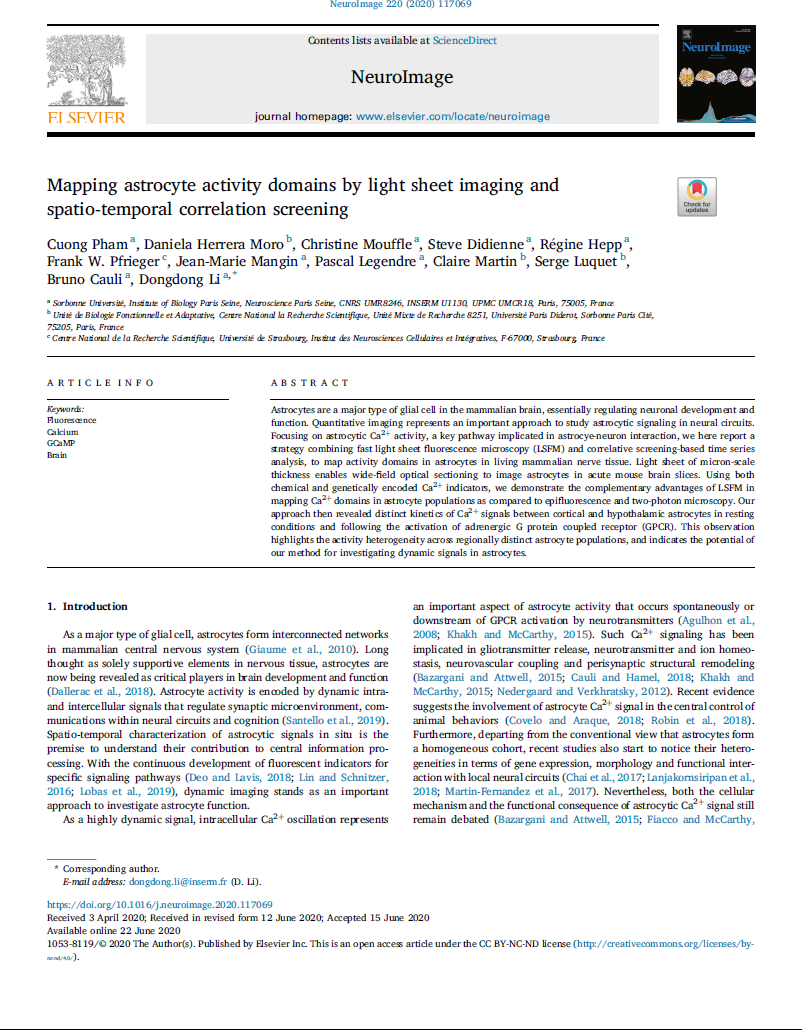 Mapping astrocyte activity domains by light sheet imaging and spatio-temporal correlation screening