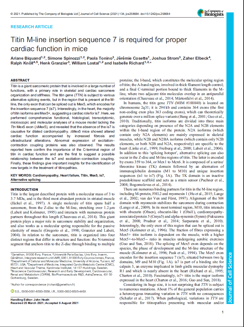 Titin M-line insertion sequence 7 is required for proper cardiac function in mice